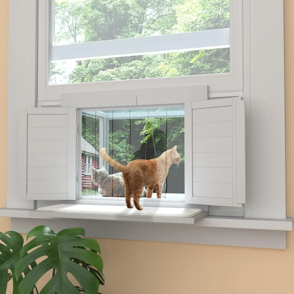 Cat Window Box 3