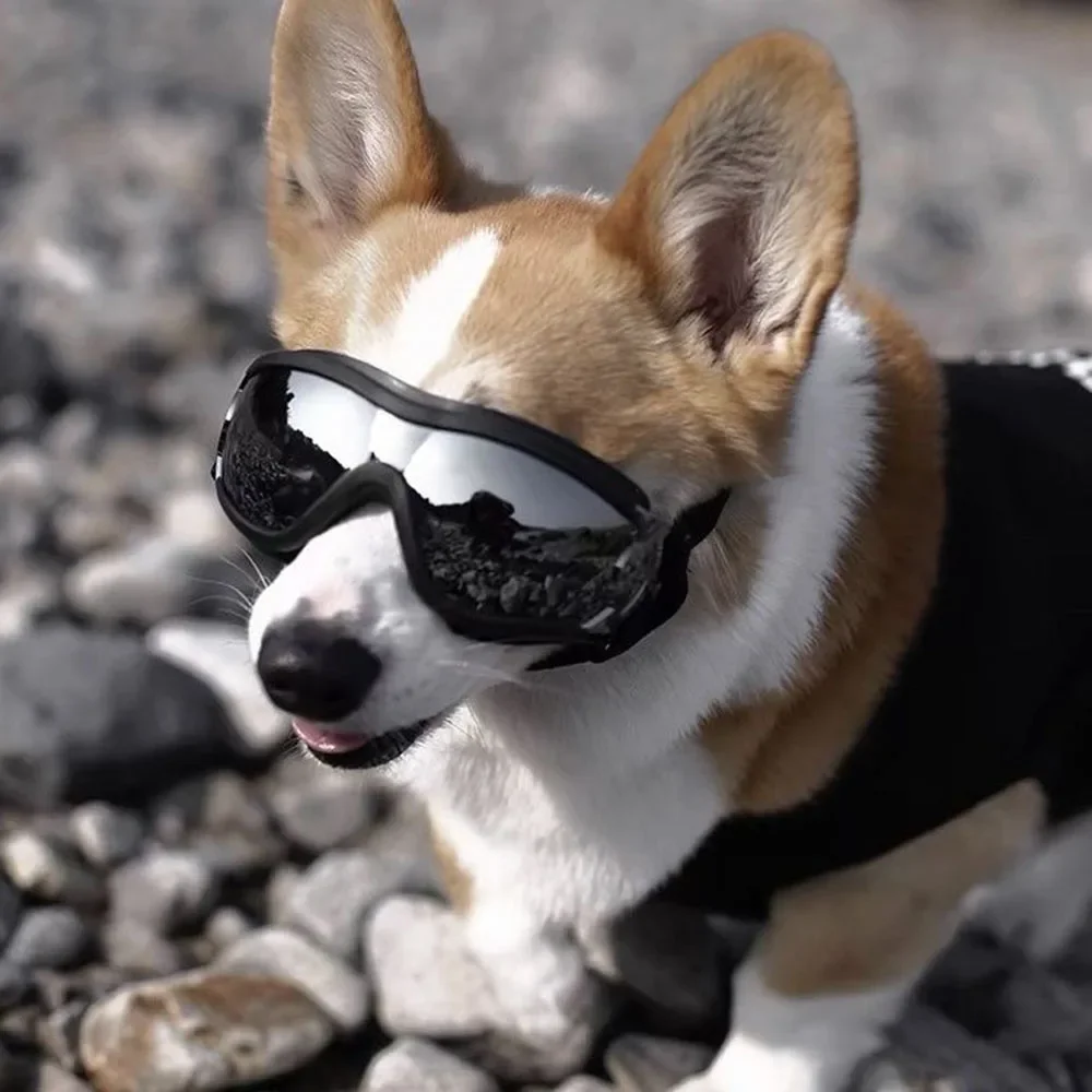 Waterproof Dog Winter Coat 5