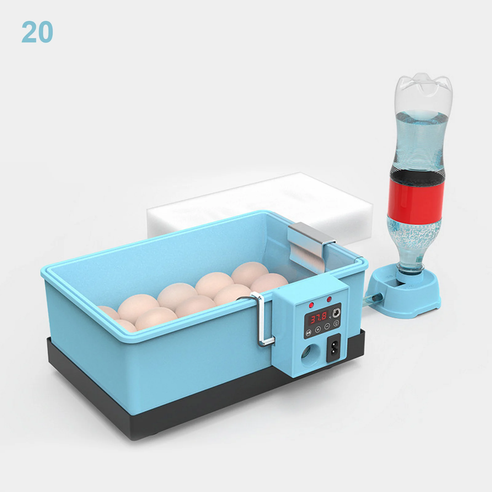 20 eggs