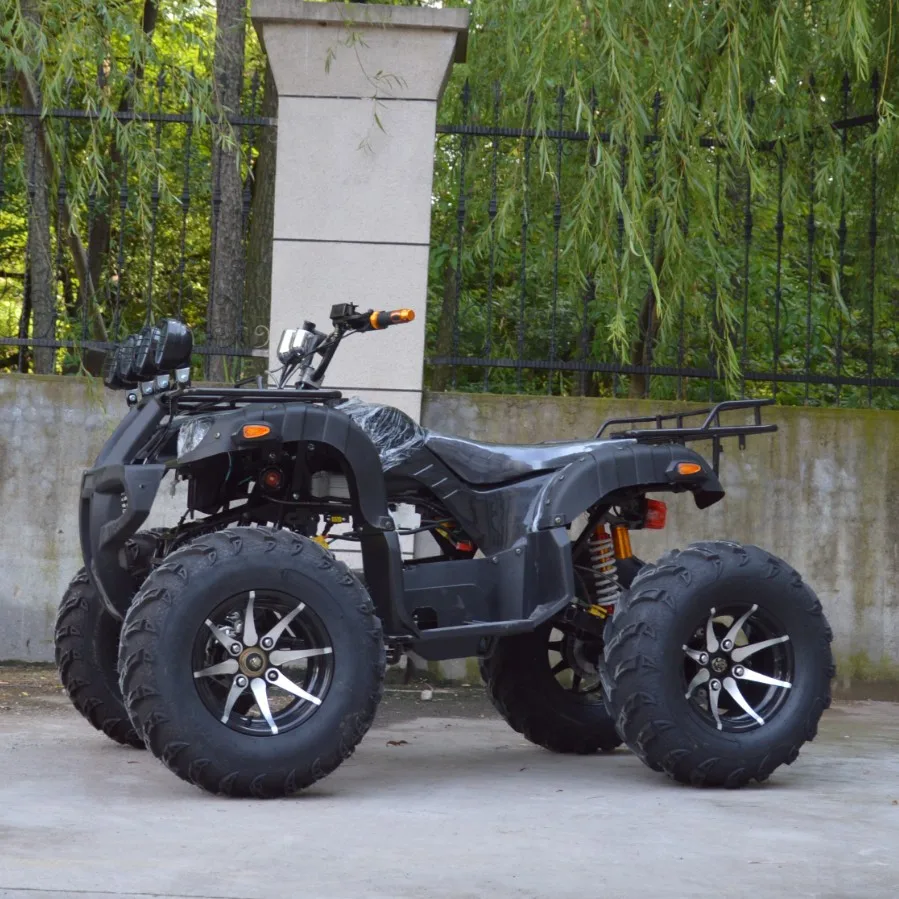 Рисунок 2 - Взрослые 60v 4x4 четыре колеса