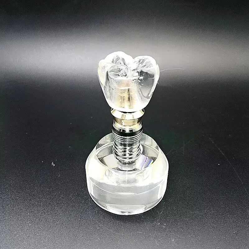 

Dental Typodont Implant Teeth Model Demonstration Teeth Study Teach Model Clear M2020