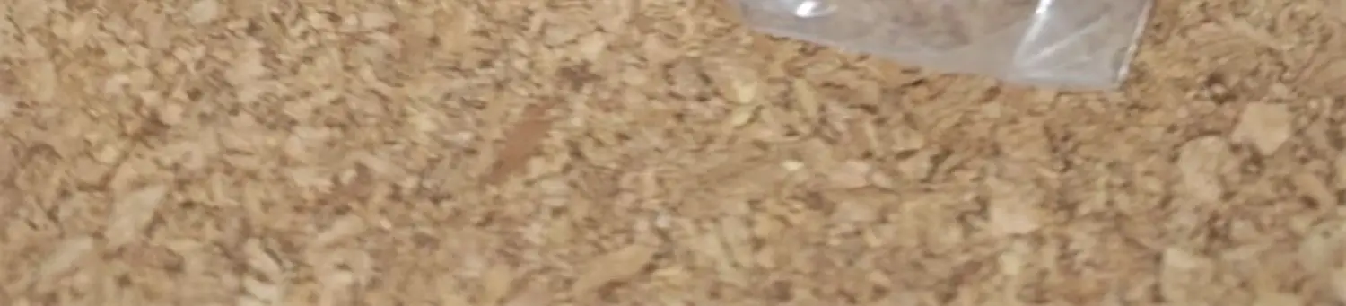 S390144595a1b46ddabebefeb81701d15P - Ranma ½ Store