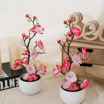 Silk Plum Bonsai 1
