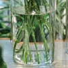 1Pcs Shatterproof Plastic Vases Tall Large Transparent Flower Vase Hydroponic Decoration Flowerpot  Acrylic Cylinder Vases 6