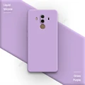 Grass Purple