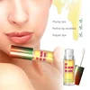 Long Lasting Lip Plumper Oil Serum Instant Volumising Essence Oil Repair Lip Fine Lines Increases Elasticity Sexy Lip Balm 5