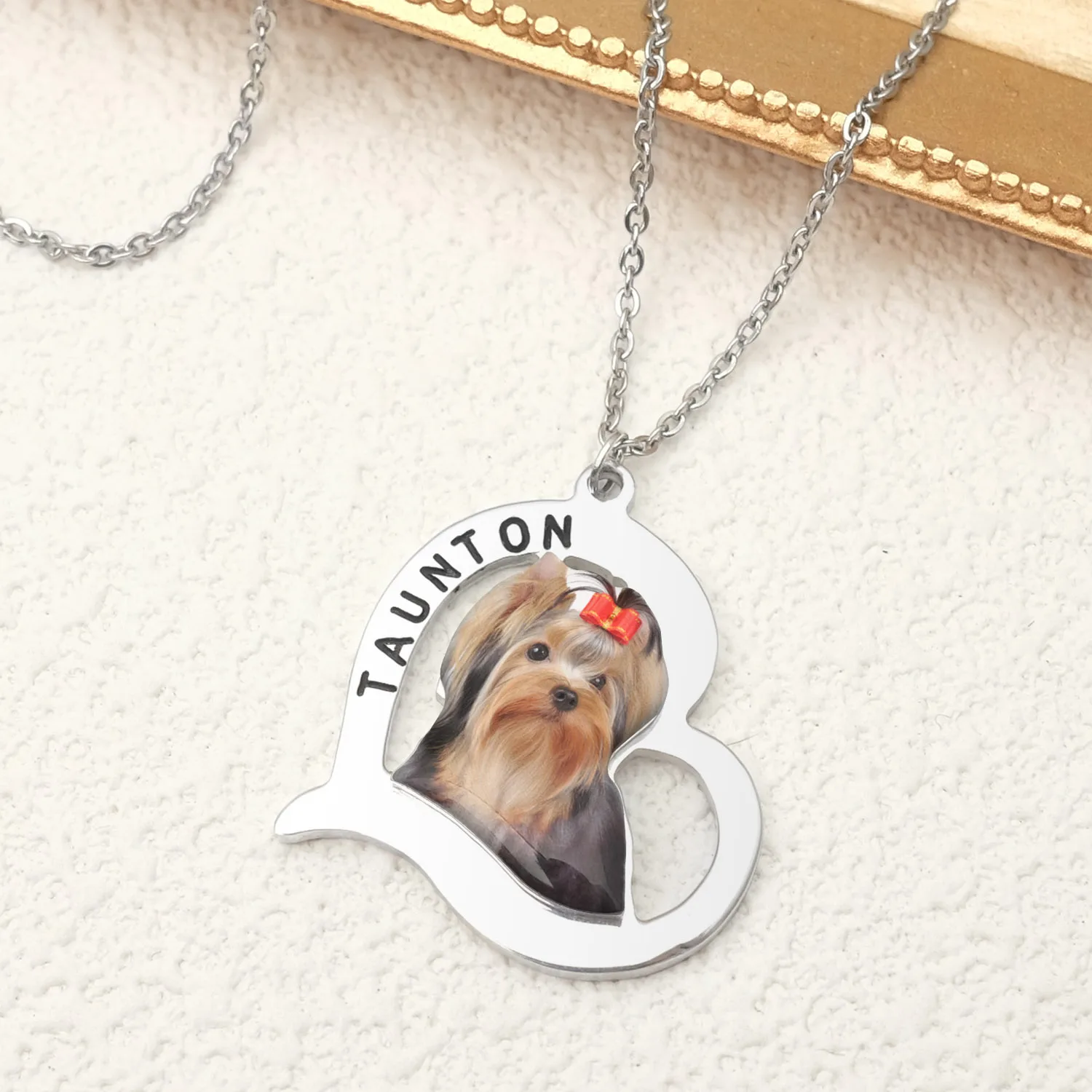 PersonalizedPetPhotoNecklaceAnimalHeartPhotoPendantPetPortrait