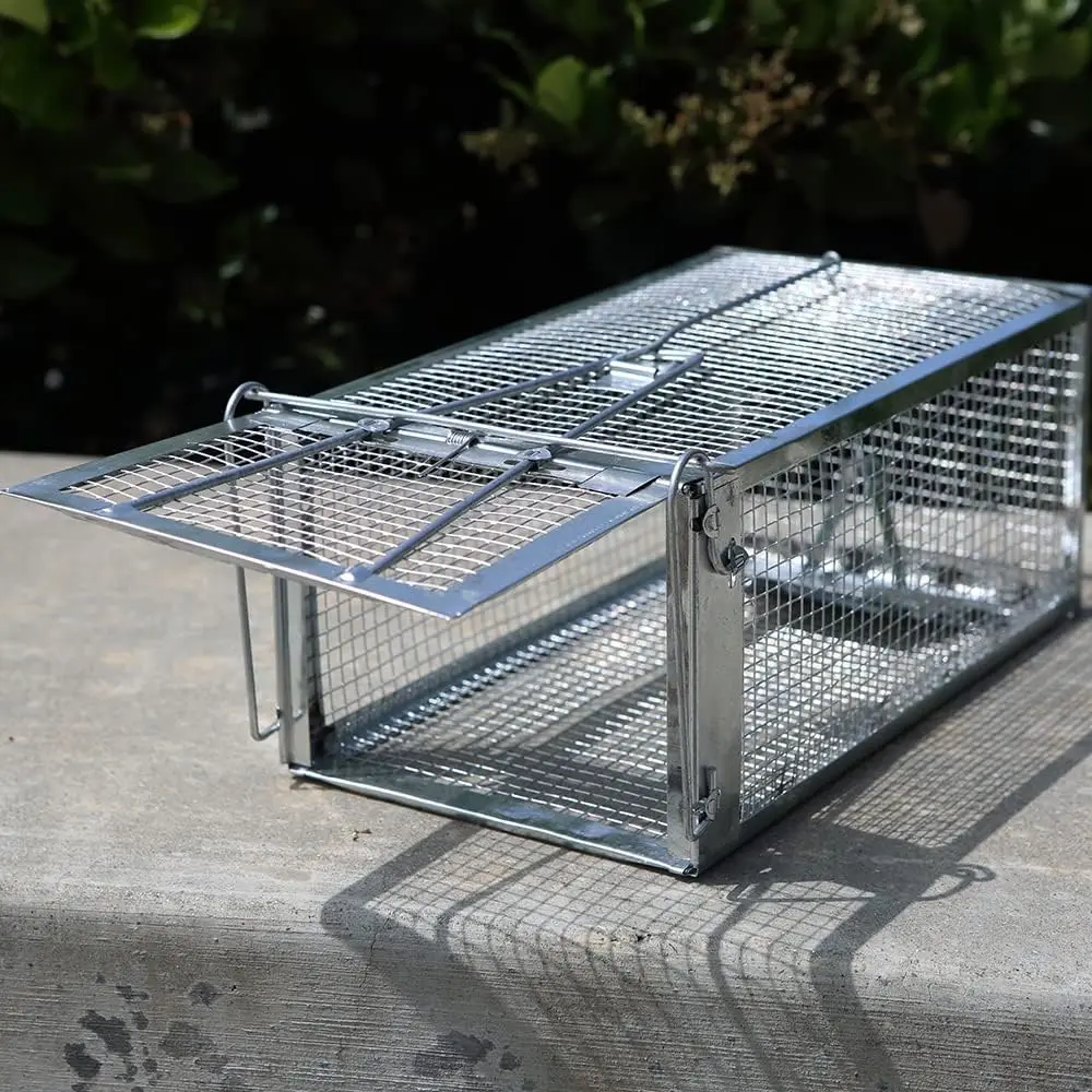 18-Inch Live Animal Cage Trap