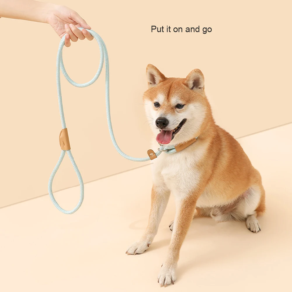 

Dog Leash Dog Harness Nylon Braid High Quality Rope Tensile Strength Leather Accessories Explosion Shock Unnecked Durable