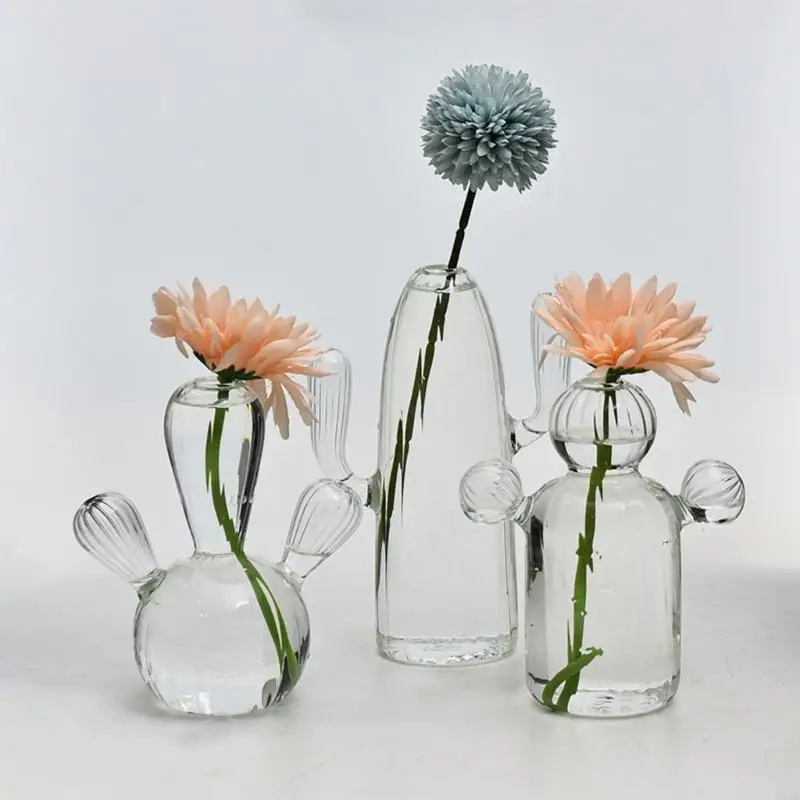 QX2E Cactus Glass Vase Hydroponics Plant Flowerpots Livingrooms Decorations for Bedroom 3