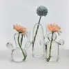 QX2E Cactus Glass Vase Hydroponics Plant Flowerpots Livingrooms Decorations for Bedroom 3