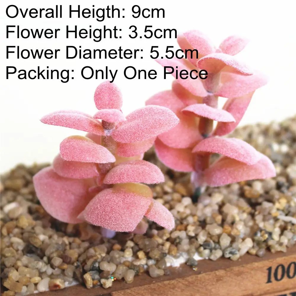 Vibrant Multicolor Flocking Succulent Plants