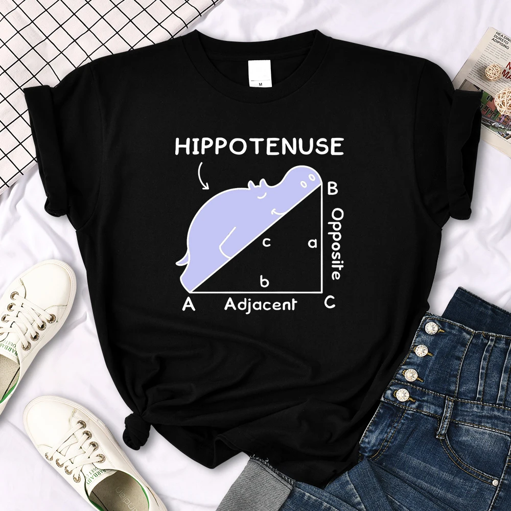 Women T-Shirt Hippo Sleeping On Math Problem Printing Shirt Females O-Neck Loose Oversize Top Slim Kawaii Animal Ladies T Shirt
