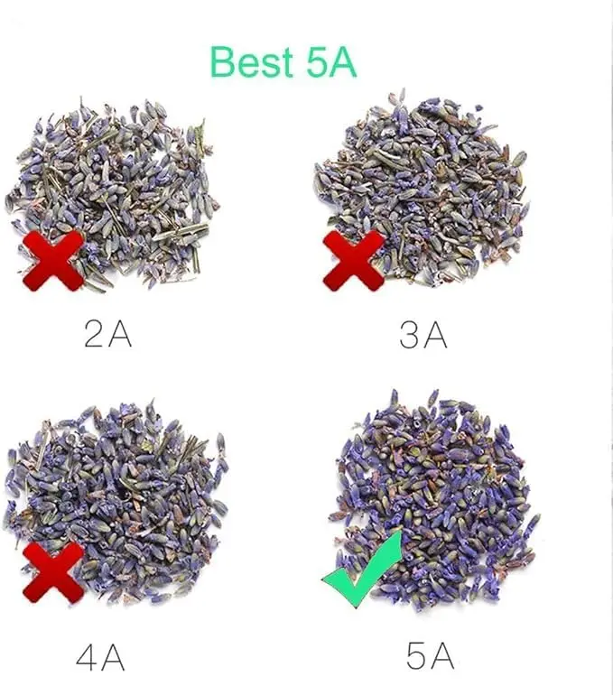 Lavender Sachets (25 Pack) -French Lavender Sachets Closets Fresh Scents, Set of 25, Lavendar Home Fragrance