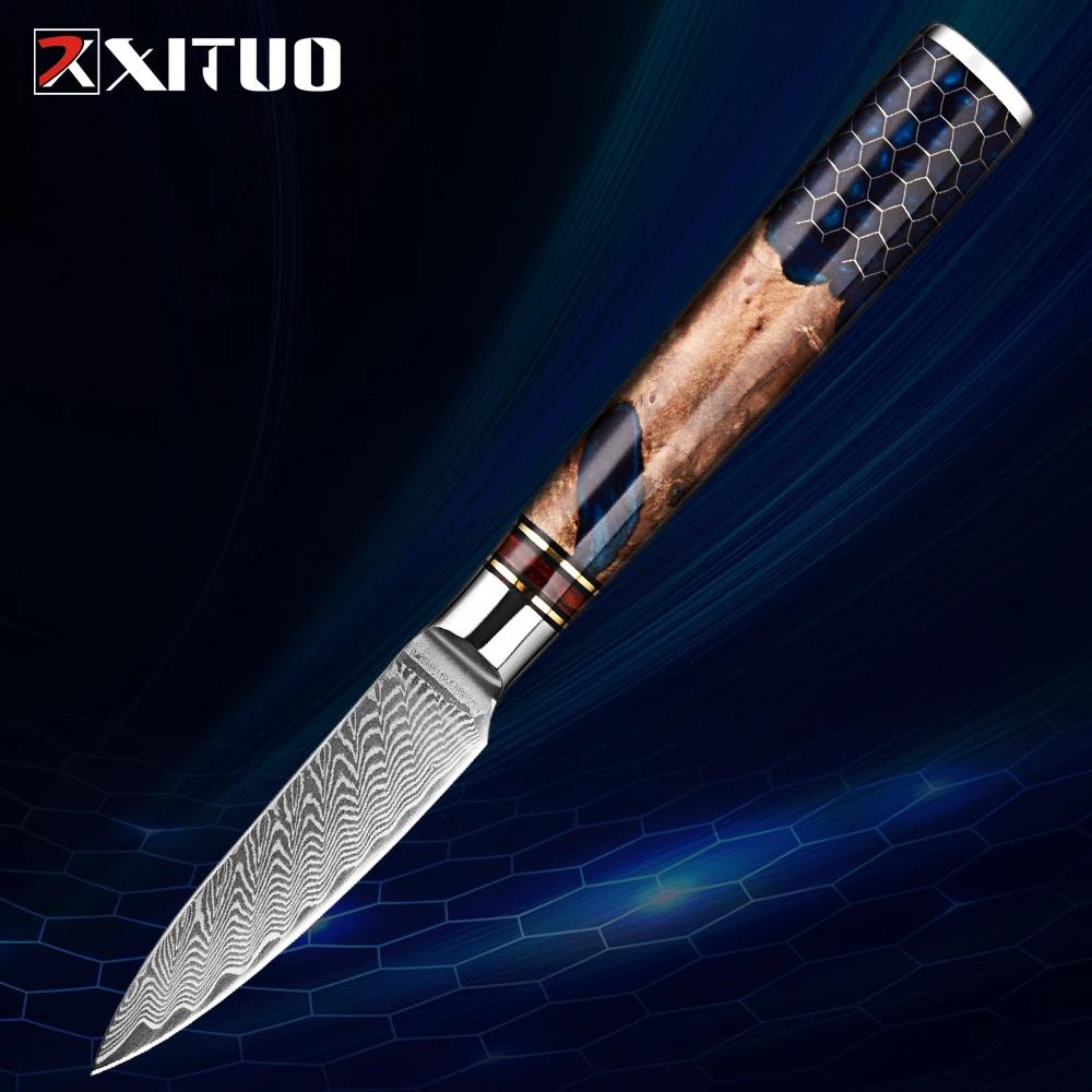 

Paring Knife 3.5 inch Fruit Knife,Small Kitchen Knives,VG10 Damascus Super Steel 67-Layers, Full Tang Wood&Resin Handle