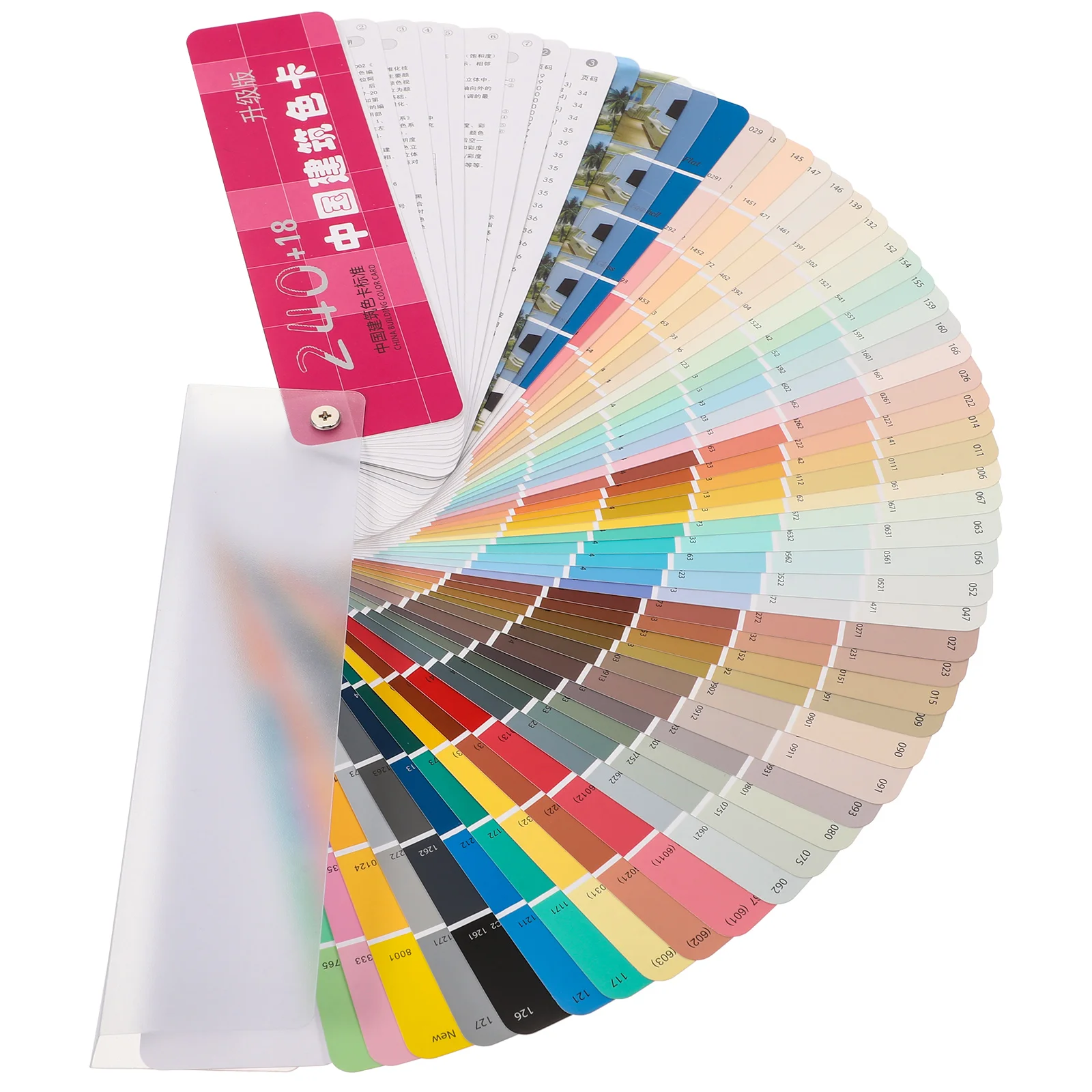 

Paint Tools Color Card Professional Cards Major Standard Comparing Multipurpose for Drawing