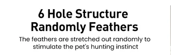 Smart 2-in-1 Pet Toy 10