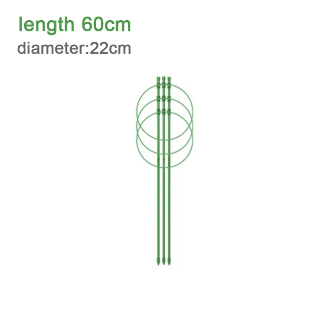 60cm