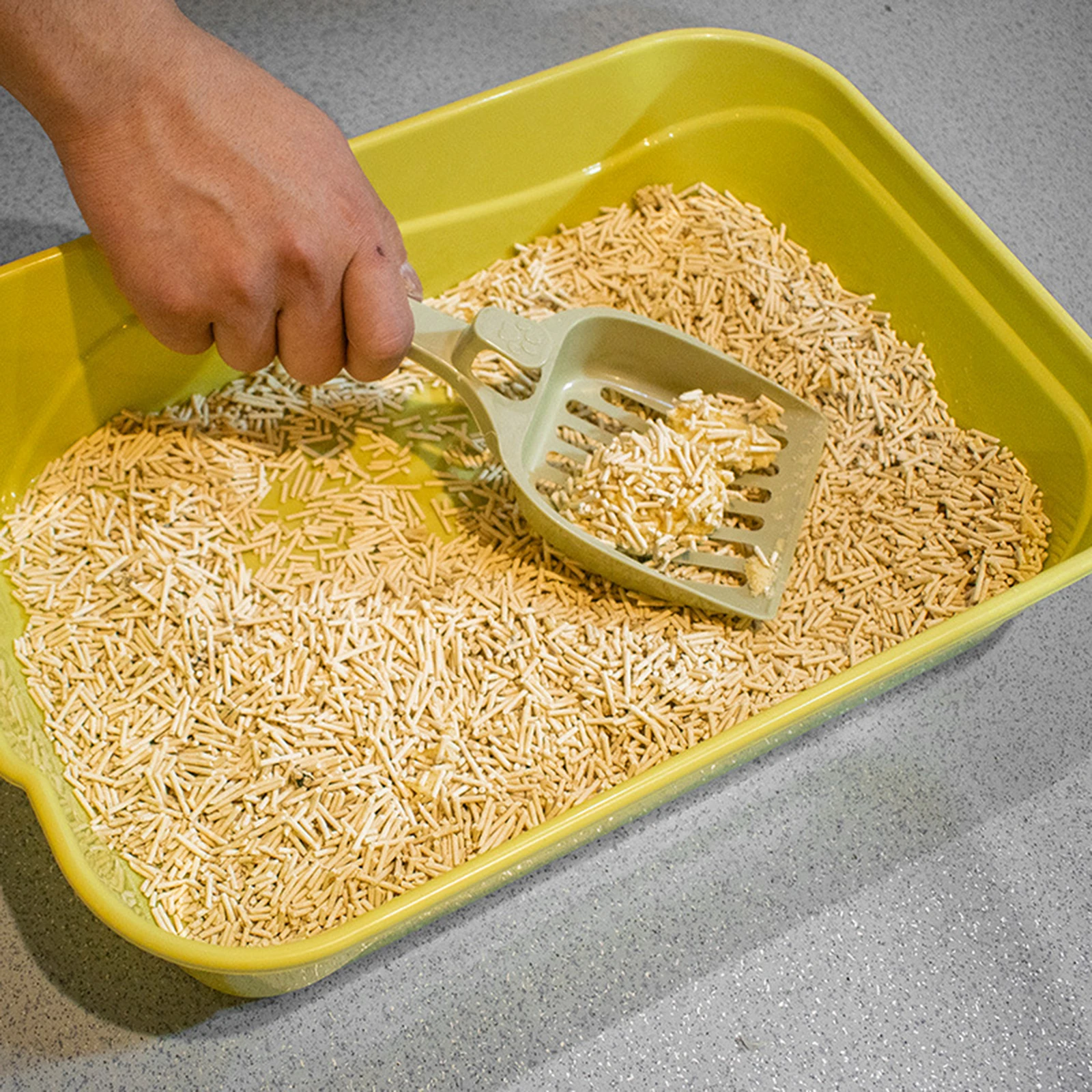 Cat Litter Box 5