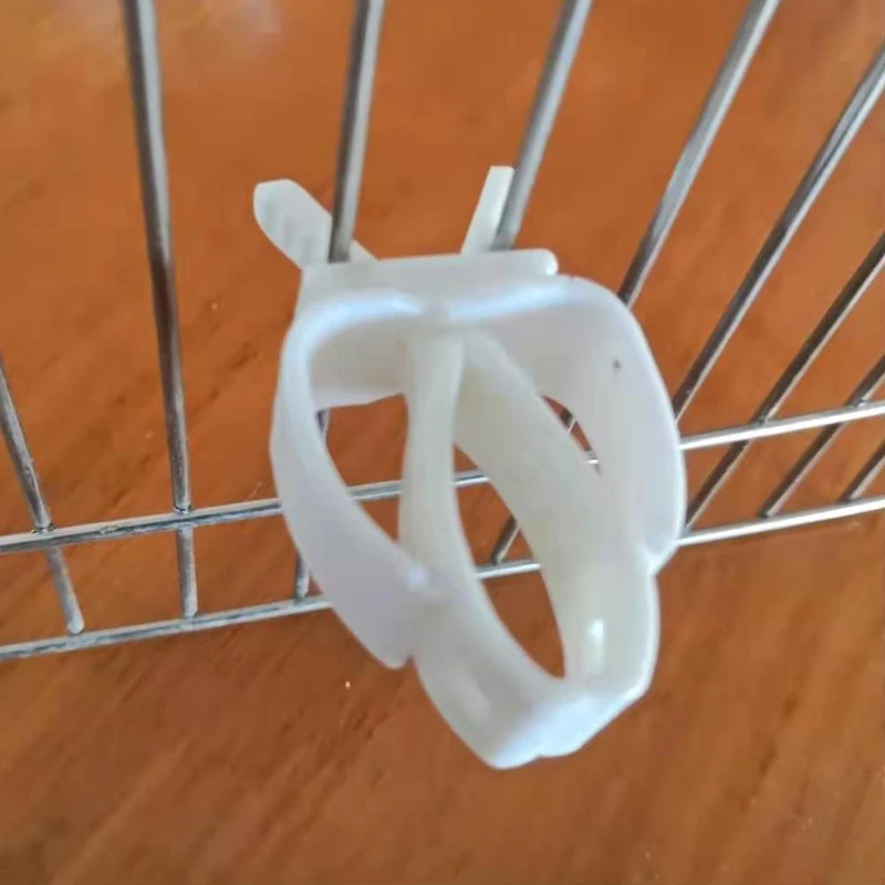 Pet Bird Food Holder Parrot Feeder Clip Cuttlefish Bone