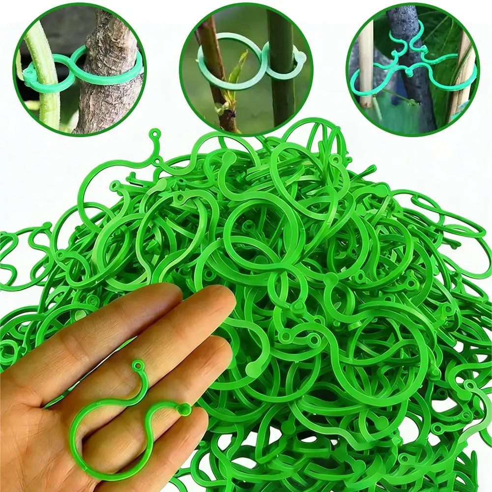 Plant Clips for Climbing Plants Tomato Trellis Garden Vine Strapping Bundled Buckle Clips Plastic Trellis Plant Support