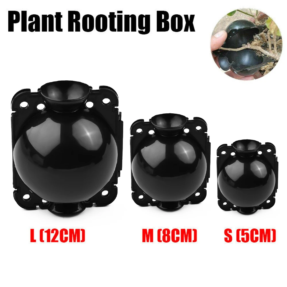 Plant Propagation Box 6pcs 5/8/12cm