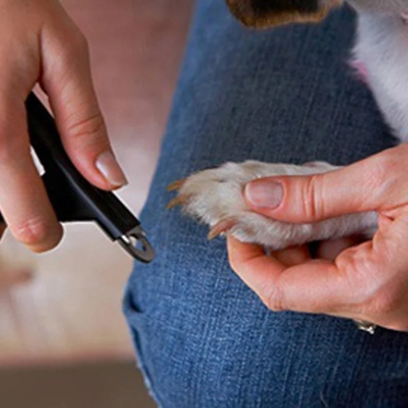 ProfessionalPetNailClipperStainlessSteelDogCatToeTrimmersPuppyClawGroomingScissor
