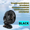 Black fan