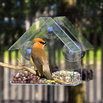 Window Suction Bird Feeder 3