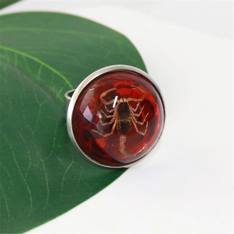Trendy Rings Versatile and Fashionable Opening Rings for Daily Parties - 5