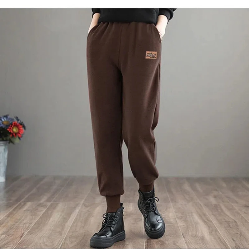 2024 Jia Rong Thickening Harem Wei Ku Autumn and Winter New Arrivals Korean Version Large Size Loose Fashion All-match Pants