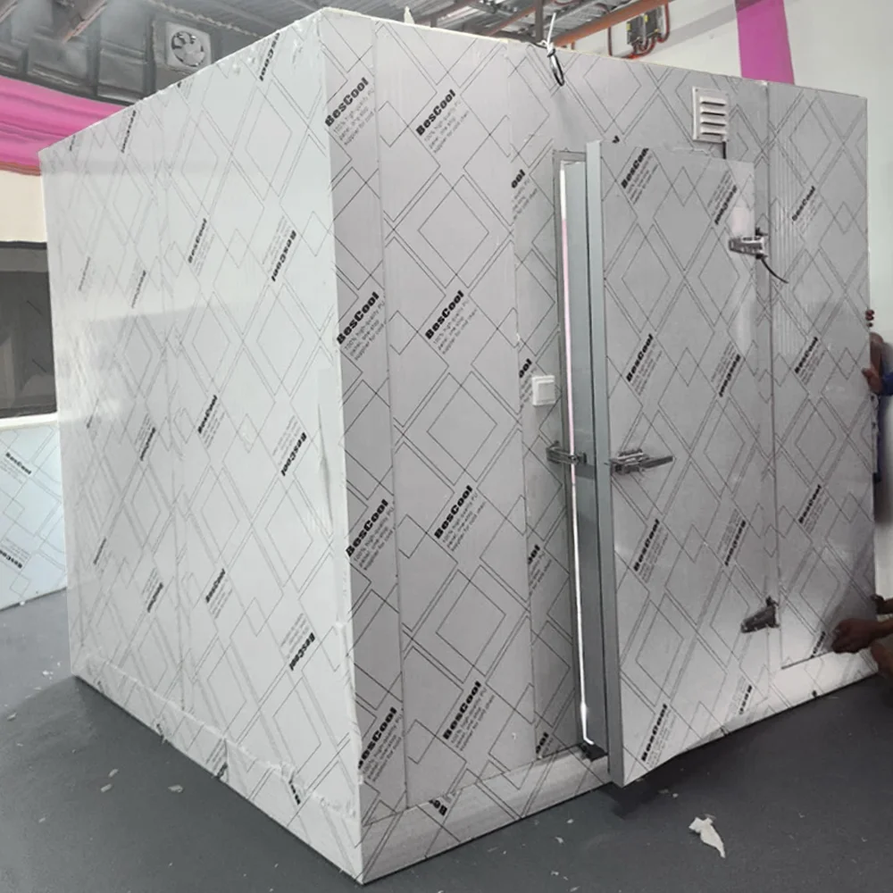 Cold Room Storage Cooling System Freezer Unit Walk in Cooler for Fruit and Florist Refrigerator Container