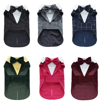 Luxury Tailcoat Dog Costume 1