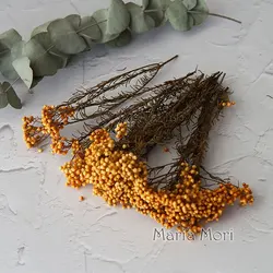 Elegant Preserved Rice Flower for Home and Office Decor - Ideal for DIY Crafts and Handmade Candle Projects (Orange)