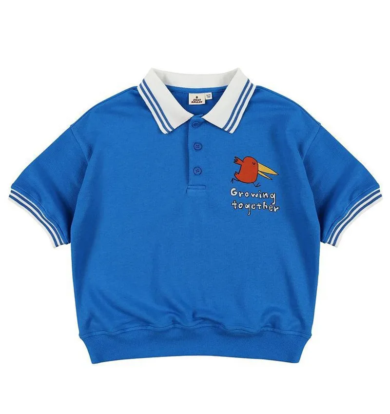 as shown