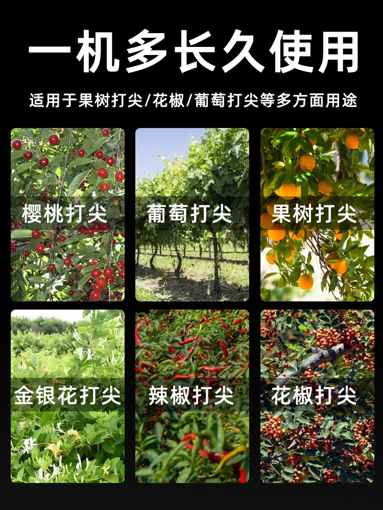 Tipping artifact, electric lithium battery, rechargeable grape fruit tree, cherry pepper capping, head wiping