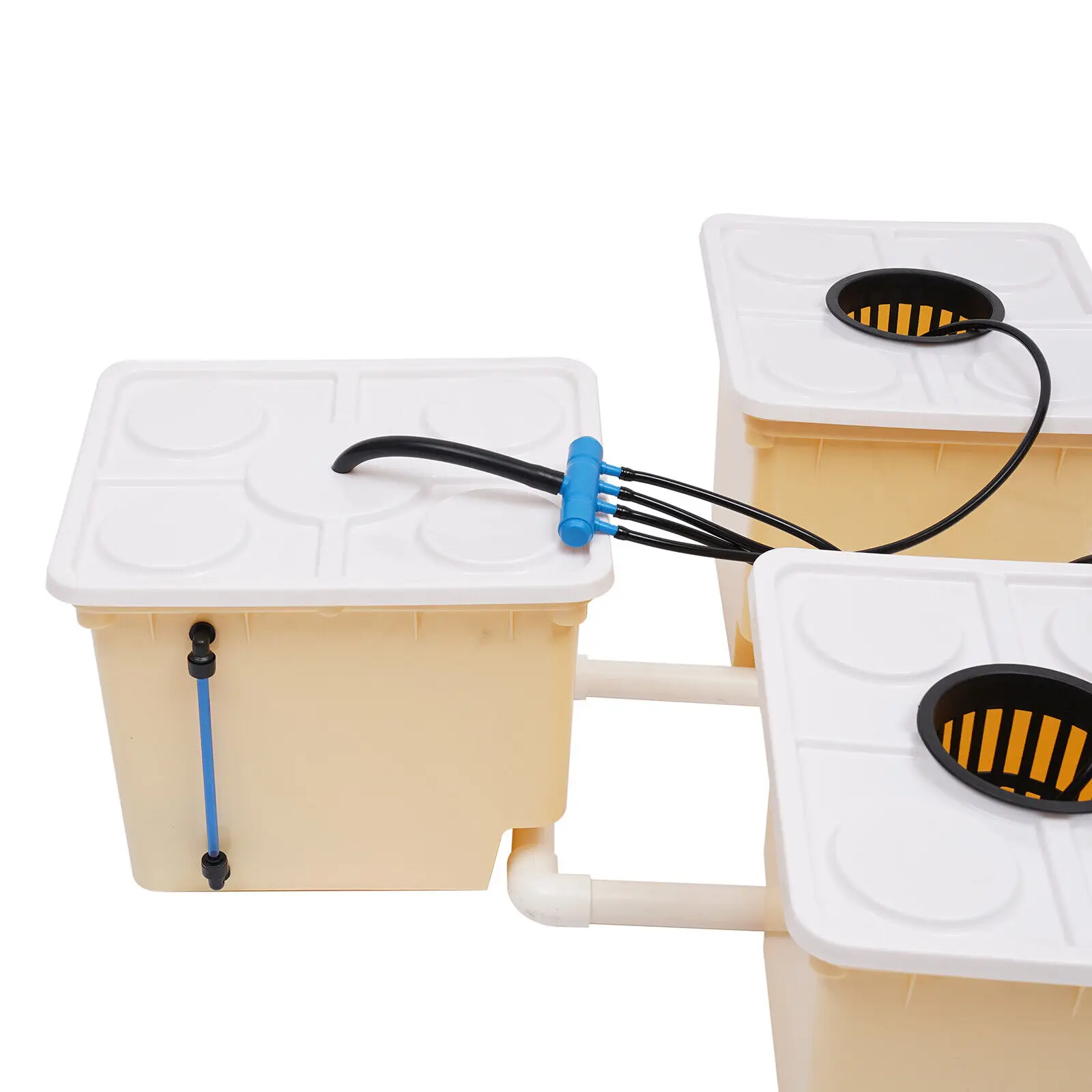 Hydroponics Deep Water Culture DWC System Bucket Drip Growing System for Indoor Gardening And Plant Cultivation