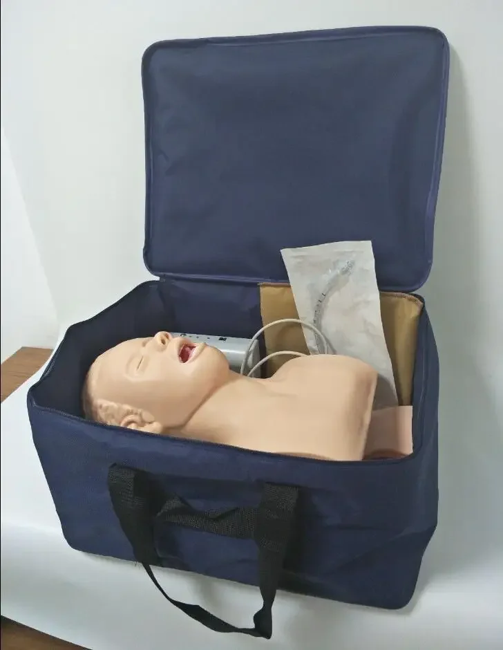 

Intubation Manikin Study Teaching Model Airway Management Trainer PVC with Teeth