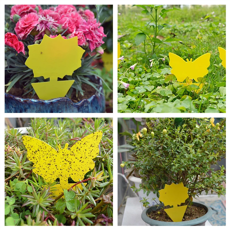 Piège à mouches et à moucherons, collant jaune, pour usage intérieur et  extérieur, antiparasitaire, pour jardin, plante à colle forte, 10 pièces -  AliExpress