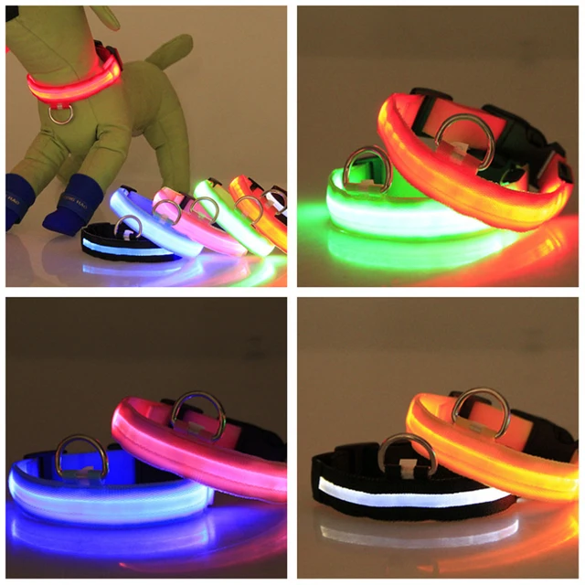 USB Charging LED Dog Collar iLovPets.com