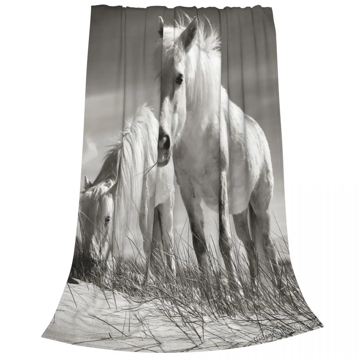 Luskentyre �� ħ�� ��� ħ�뺸, �׸� �ִ� ���� ħ��� �ִϸ��̼� ħ�뺸