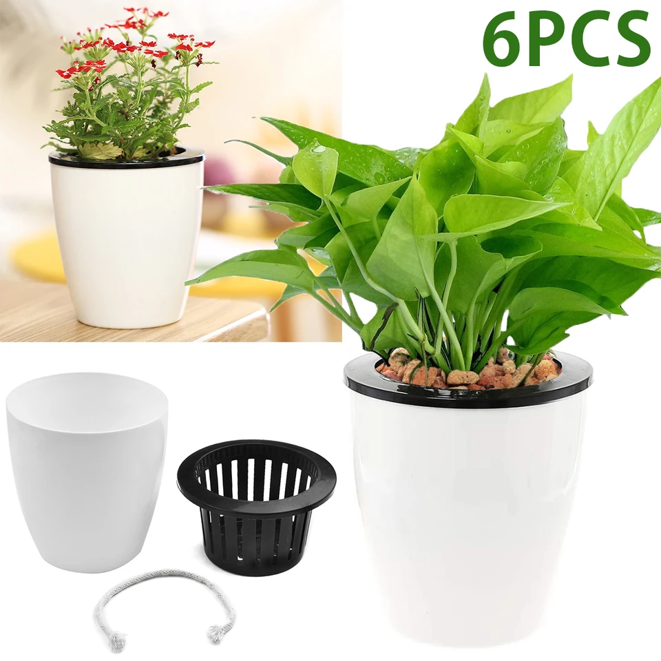 Vaso Idroponico A 3 Fori Per Giacinti E Narcisi – Autoirrigante, In PP, 15,5x7 Cm, Ideale Per Appartamenti, Uffici E Regali