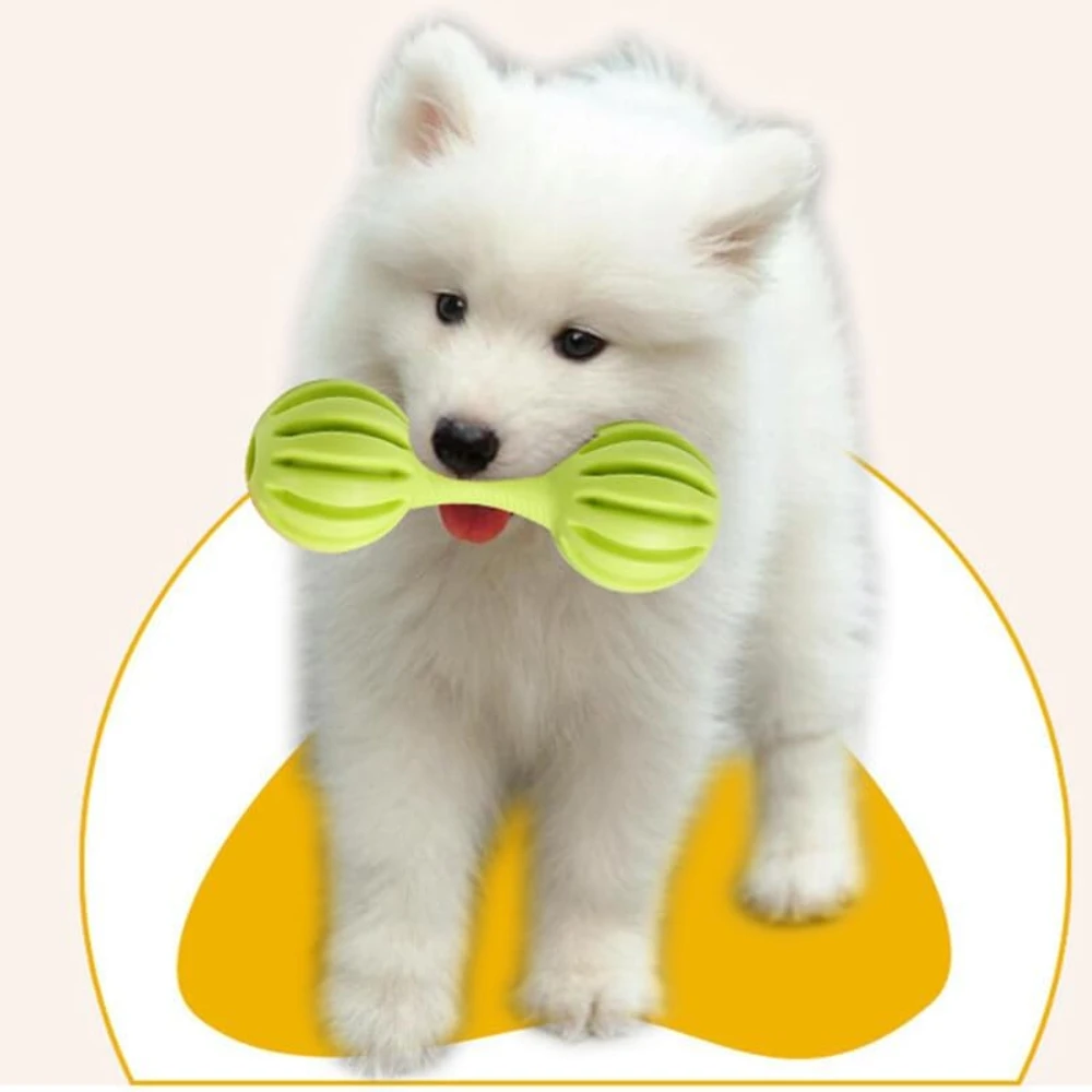 Dog Toy Dumble Rubber with Bell Fun Interactive