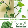 5-50Pcs Plant Climbing Wall Fixture Clips Rattan Clamp Fixator Self-Adhesive Vine Buckle Hook Invisible Vine Binding Clip 1