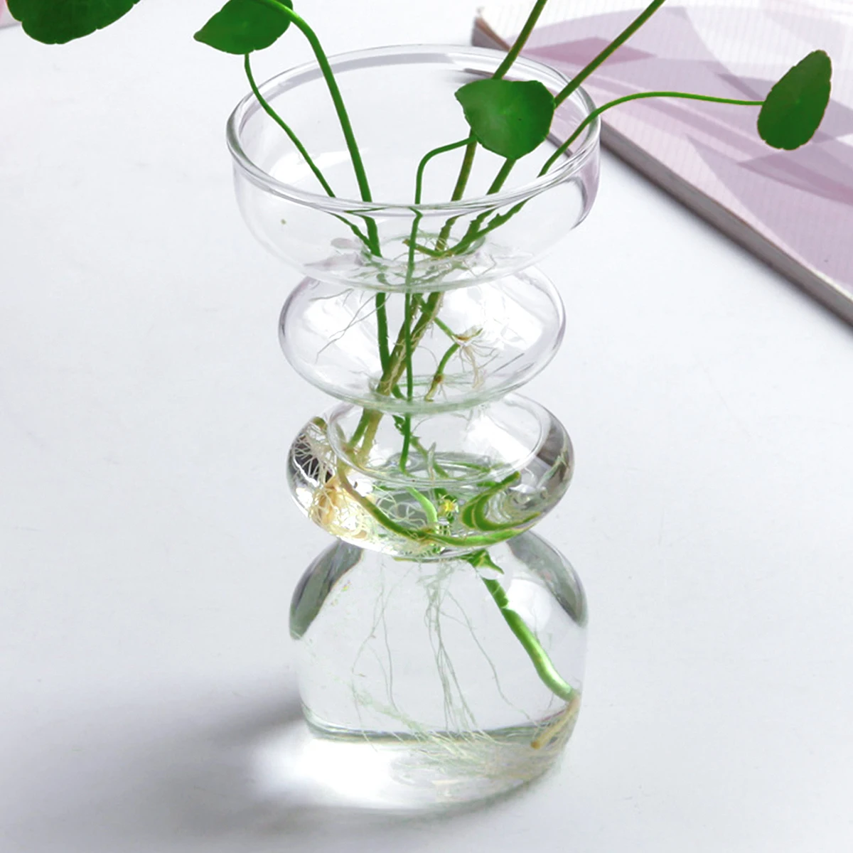 1PC, irregular-shaped screw-shaped glass vase, simple transparent vase, hydroponic flower arrangement container