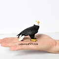 Bald Eagle -3