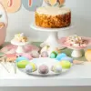 Frying Easter Egg Tray Terrarium Ceramic Dish Arrangement Deviled Carrier Cake Pan 3