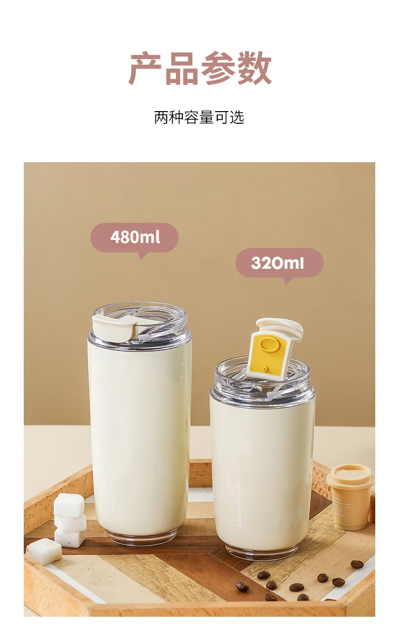 480ml Insulated Stainless Steel Water Bottle