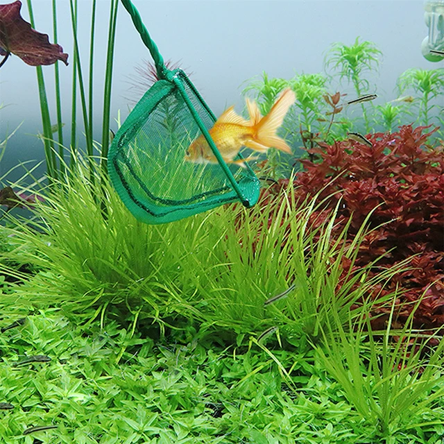 3~10 Inch Portable Nylon Green Fish Net Aquarium Long Handle Square Fish Tank Little Fish Shrimp Landing Net Cleaning Tool 2Pcs 5