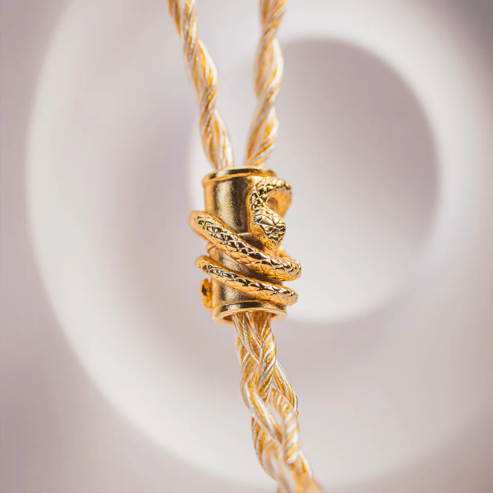 EarAcoustic Audio VSA-LTD インイヤーイヤホン 有線イヤホン フル